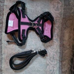 Small cat harness with matching leash NWOT
